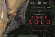 فری سولو (free solo)