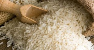 b155f401 2a42 4e9f 854f 143a84ca0293 310x165 - لزوم برخورد با دست فروشان برنج‌های خارجی به نام برنج گیلانی