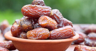 Branding of dates in the country increases exports