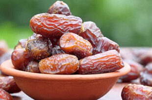 Branding of dates in the country increases exports