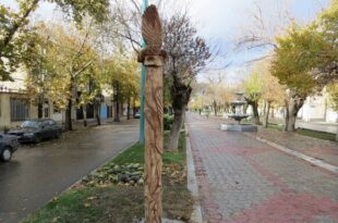 روح شهر جهانی مبل منبت در کالبد درختان خشکیده
