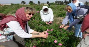 برند گردشگری کشاورزی