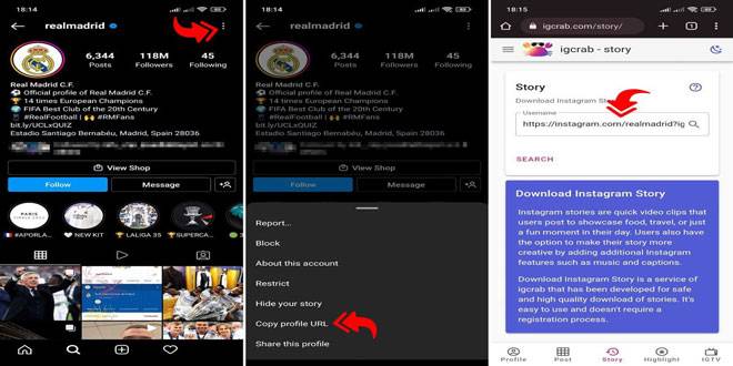 Learn to download Instagram story on iPhone 01 - آموزش دانلود استوری اینستاگرام در آیفون – ذخیره Story در iOS
