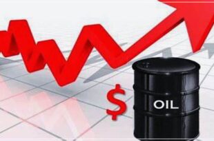 Increase in oil prices 0 310x205 - افزایش قیمت نفت