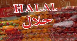 Forming the Permanent Secretariat of Halal Conference 310x165 - تشکیل دبیرخانه دائمی همایش حلال در اتاق بازرگانی البرز