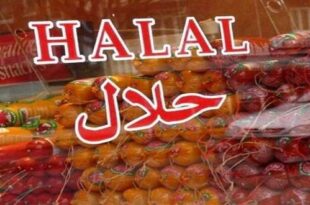 Forming the Permanent Secretariat of Halal Conference 310x205 - تشکیل دبیرخانه دائمی همایش حلال در اتاق بازرگانی البرز