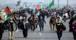 How much is Arbaeens financial turnover donyayebrand