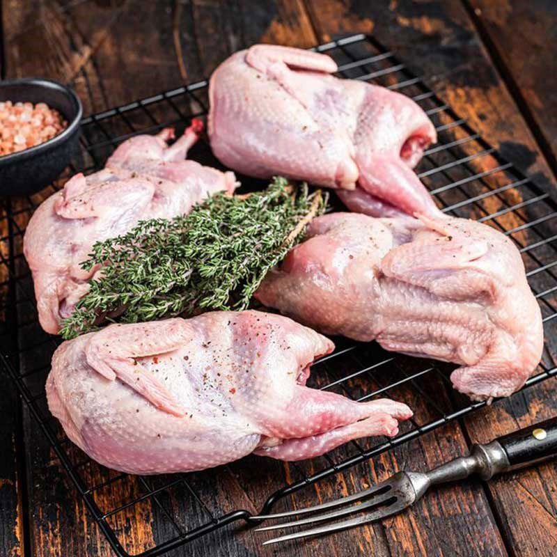 Important points of purchase and price of Quebec meat pheasant meat and local rooster meat 0 - نکات مهم خرید و قیمت گوشت کبک و گوشت قرقاول و گوشت خروس محلی