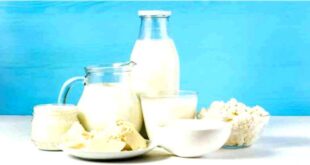 Iraq is the first export destination of Iranian dairy products 310x165 - عراق نخستین مقصد صادراتی لبنیات ایران