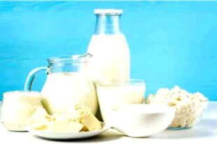 Iraq is the first export destination of Iranian dairy products 310x205 - عراق نخستین مقصد صادراتی لبنیات ایران