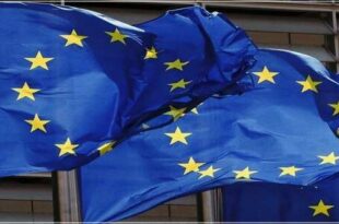 New EU law to support news content on platforms 310x205 - قانون جدید اتحادیه اروپا برای حمایت از محتوای خبری در پلتفرم‌ها