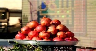 A celebration for pomegranates without Lorestan emblem 310x165 - جشن برای انار؛ بدون نشانِ لرستان!