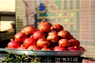 A celebration for pomegranates without Lorestan emblem 310x205 - جشن برای انار؛ بدون نشانِ لرستان!