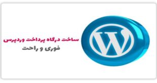 How to choose and register an instant payment gateway for WordPress 310x165 - چگونگی انتخاب و ثبت درگاه پرداخت فوری برای وردپرس