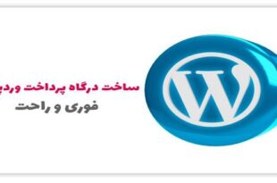 How to choose and register an instant payment gateway for WordPress 310x205 - چگونگی انتخاب و ثبت درگاه پرداخت فوری برای وردپرس