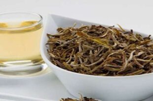 The effect of thorn tea in diseases 310x205 - تاثیر دمنوش خارخاسک در بیماری ها