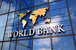 Irans economy under the microscope of the World Bank 310x205 - اقتصاد ایران زیر ذره‌بین بانک جهانی