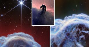 63012793 310x165 - درخشش سر یک اسب در تصویر جدید تلسکوپ «جیمز وب»