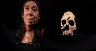 63014801 310x165 - دانشمندان چهره یک نئاندرتال ۷۵ هزار ساله را بازسازی کردند