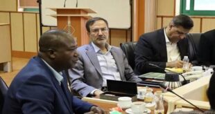 63022979 310x165 - همکاری علمی بین ایران و زیمبابوه باعث تقویت روابط دو کشور می‌شود