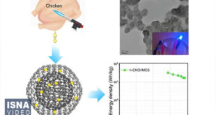 63030845 310x165 - ویدیو/ تبدیل چربی مرغ به دستگاه ذخیره انرژی