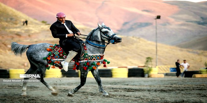برگزاری سالانه جشنواره اسب کُرد، فرصت خوبی برای برندسازی گردشگری و ورزشی است