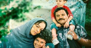 12617955 410 310x165 - «در آغوش درخت» نماینده سینمای ایران در اسکار ٢٠٢۵ شد