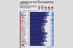 Americas Top University brandworld 310x205 - بهترین دانشگاه‌های آمریکا از نگاه فوربس: پرینستون در صدر | +اینفوگرافیک