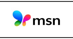 MSN logo 310x165 - پروانه آبی دوباره پرواز می‌کند؛ MSN با طراحی نوستالژیک بازگشت