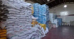 1405041813192838537484504 310x165 - توقف اجرای بخشنامه تعیین اصالت برنج؛ ترخیص واردات به روال گذشته بازگشت