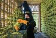 کشمش خلیل‌آباد در مسیر فتح بازارهای جهانی؛ موانع صادراتی برداشته شد